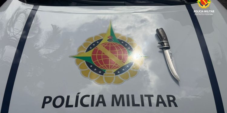 Homem que matou outro a facadas às margens da BR-020 é preso
