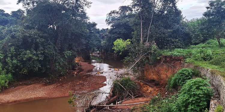 GDF abre edital para recuperar vegetação na Bacia do Rio Melchior