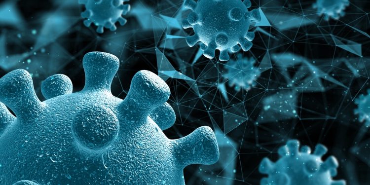 Cientistas descobrem vírus gigante com replicação inédita. Entenda