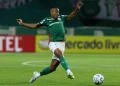 Qual foi a melhor contratação do Palmeiras em 2026? Vote!