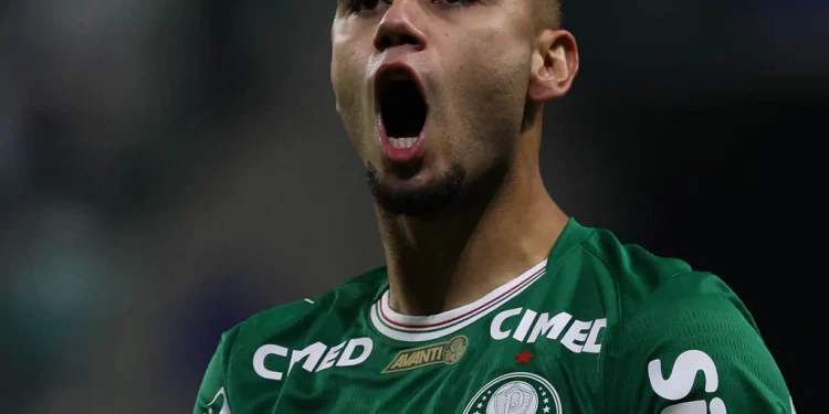 Andreas fecha primeiro semestre em alta no Palmeiras e bate recorde pessoal