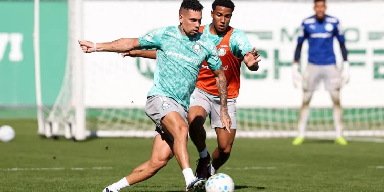 Vitor Roque segue cronograma, e Palmeiras faz trabalho técnico-tático em período único