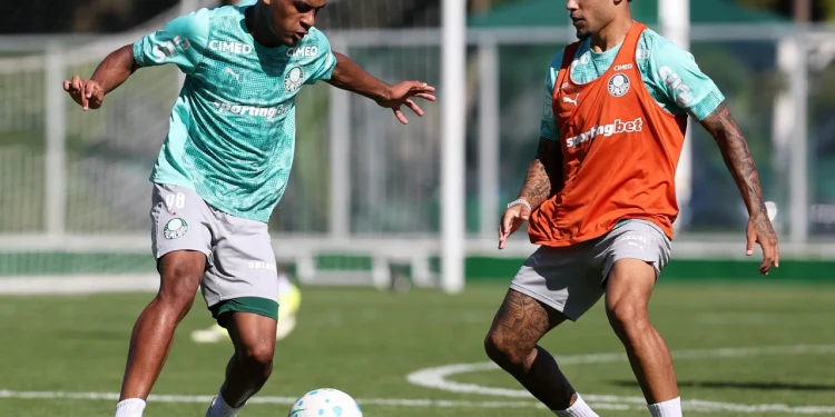 Veja fotos do treino do Palmeiras desta segunda-feira