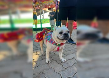 Arraiá solidário arrecada recursos para projetos voltados à proteção animal