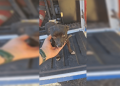 Além de motorista, cachorro da família também resistiu 3 dias em ribanceira. Veja vídeo