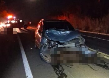 Carro atropela e mata duas vacas em acidente na BR-251