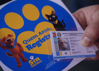 Carreta veterinária leva serviços gratuitos para cães e gatos no DF