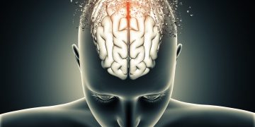 Cientistas descobrem como fazer o cérebro descansar sem dormir