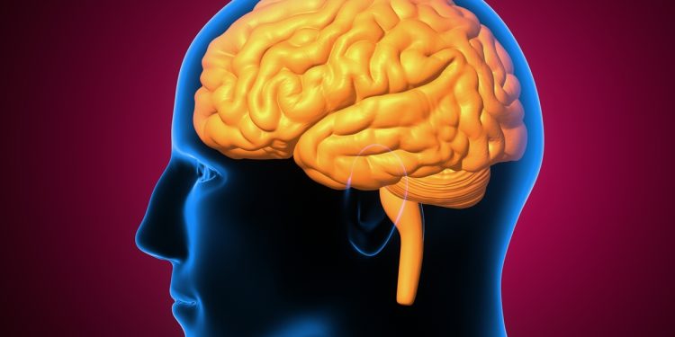 Estudo descobre uma possível ligação genética entre câncer e Alzheimer