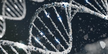 Pela primeira vez, técnica altera genes em embriões com alta precisão