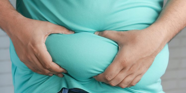 Estudo identifica células que aumentam gordura abdominal com a idade