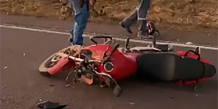 Servidora pública morre em acidente após atingir cavalo solto na estrada