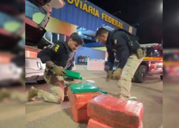 PRF apreende 100 Kg de maconha que seria distribuída no DF. Veja vídeo