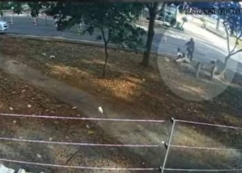 Mala que mobilizou PMDF foi deixada na Esplanada por morador de rua. Veja vídeo