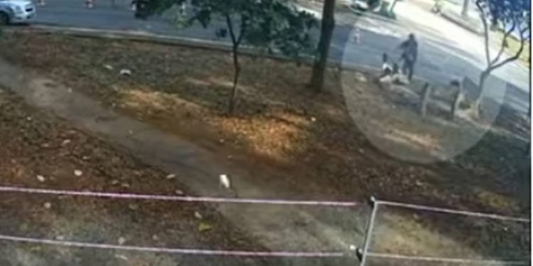 Mala que mobilizou PMDF foi deixada na Esplanada por morador de rua. Veja vídeo