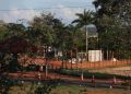 Zoo de Brasília se prepara para receber girafas traficadas pelo BioParque