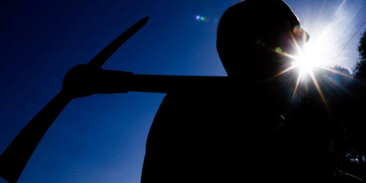 Projeto ajuda presos a sair do crime e a entrar no mercado de trabalho
