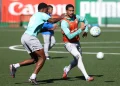 Veja fotos dos treinos do Palmeiras desta sexta-feira