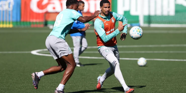 Veja fotos dos treinos do Palmeiras desta sexta-feira