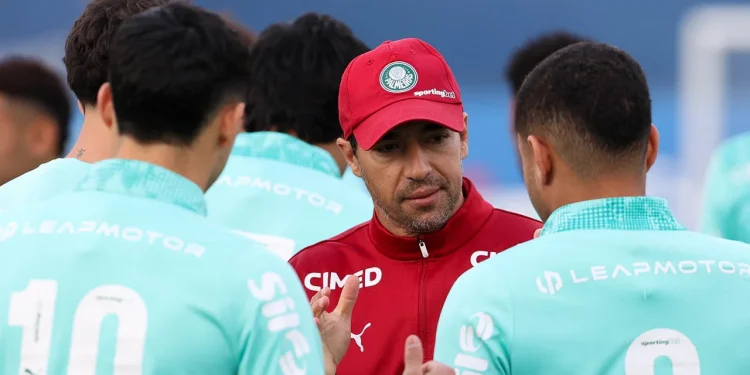 Palmeiras vê DM quase zerado e ganha reforços para o segundo semestre