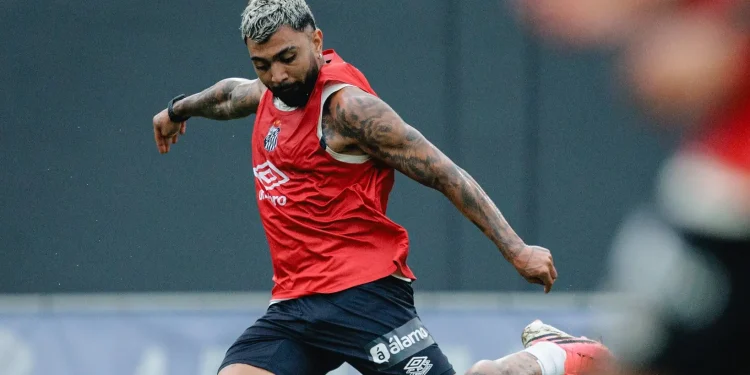 Santos se reapresenta após amistoso e abre terceira semana de intertemporada