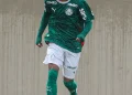 Palmeiras goleia União Mogi pelo Paulistão sub-15 e sub-17; veja resultados e classificação