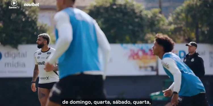 Luan Peres fala sobre preparação e retorno do Santos aos jogos