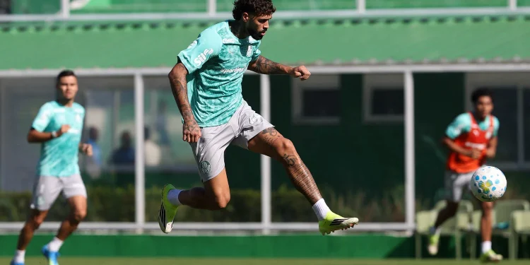 Entenda por que Barboza foi preservado de jogo-treino do Palmeiras