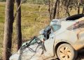 Mulher de 70 anos morre após carro atingir árvore em Formosa