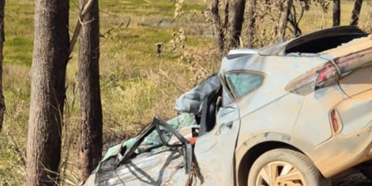 Mulher de 70 anos morre após carro atingir árvore em Formosa