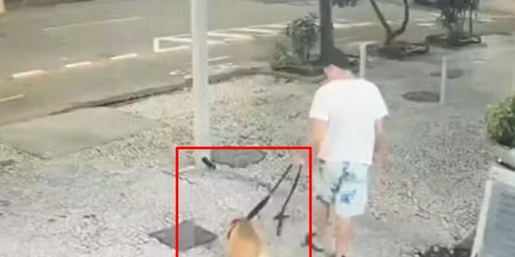 Homem é indiciado por matar pit bull afogado em mar de Copacabana