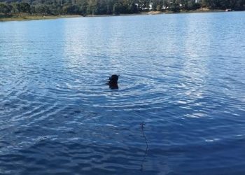 Adolescente e mulher são encontrados mortos em lago de Caldas Novas