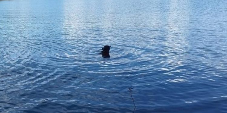 Adolescente e mulher são encontrados mortos em lago de Caldas Novas