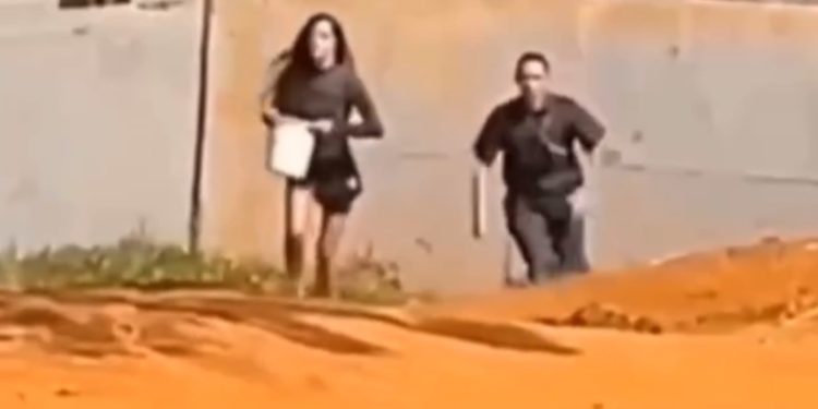 Mulher que invadiu recinto de elefante no DF tentou dar água ao animal
