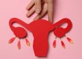 Após a menopausa, ovários podem assumir perfil de órgão imunológico