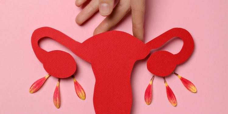 Após a menopausa, ovários podem assumir perfil de órgão imunológico