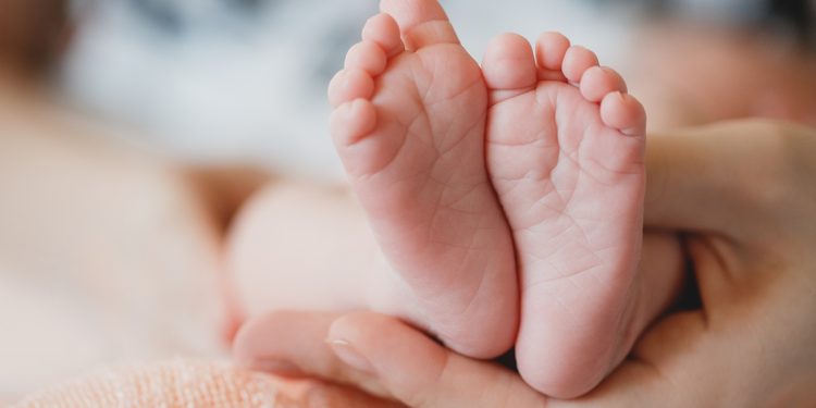 CLDF aprova ampliação de auxílio natalidade com kit para bebês e mães
