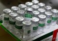 Vacina contra gripe: não há previsão para ampliar público-alvo no DF